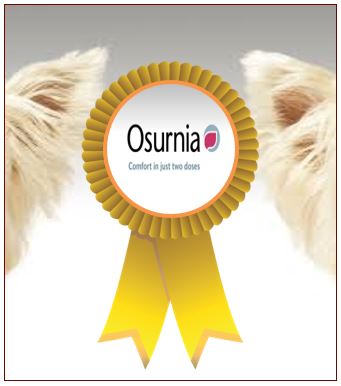 winner_osurnia